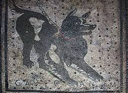 Cave Canem, Ferrier, la Part du chien whez Quignard