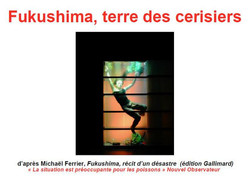Théâtre : Fukushima à Lille