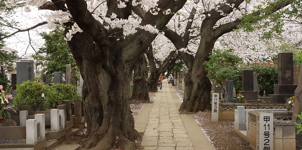 Yanaka.jpg