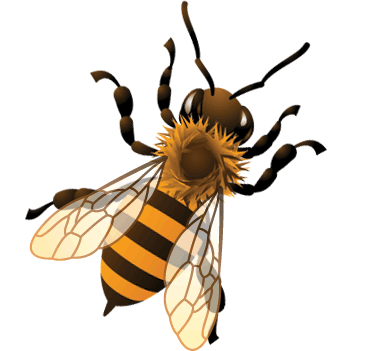 bee jig.gif