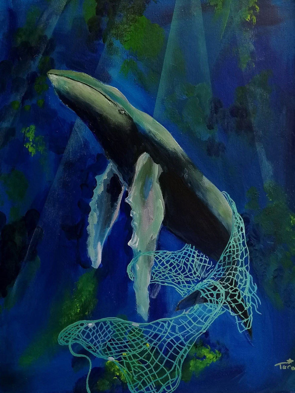 'Rising' Tara Gill 1st Form