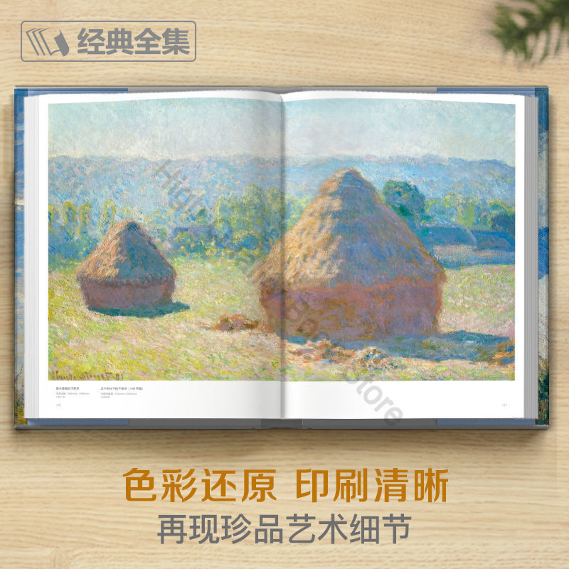 Thumbnail: Hardcover Vincent Van Gogh + Claude Monet Oil Painting Books Album Landscape