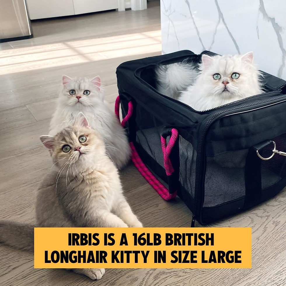 Thumbnail: Pets Carriers, Airline-Compliant Pet Carrier. includes Leash 