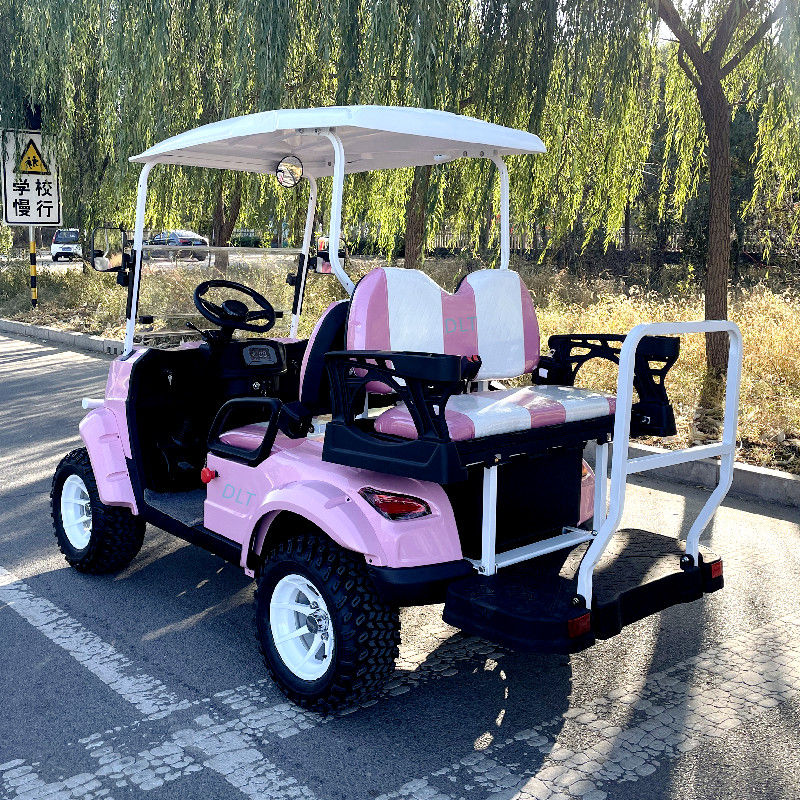 Miniature : The Latest Lithium Battery 48V Solar Panel Off-Road ATV High-End Golf Cart
