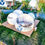 Thumbnail: Commercial Grade Bubble Tent Inflatable Transparent Dome Outdoor Party Camping