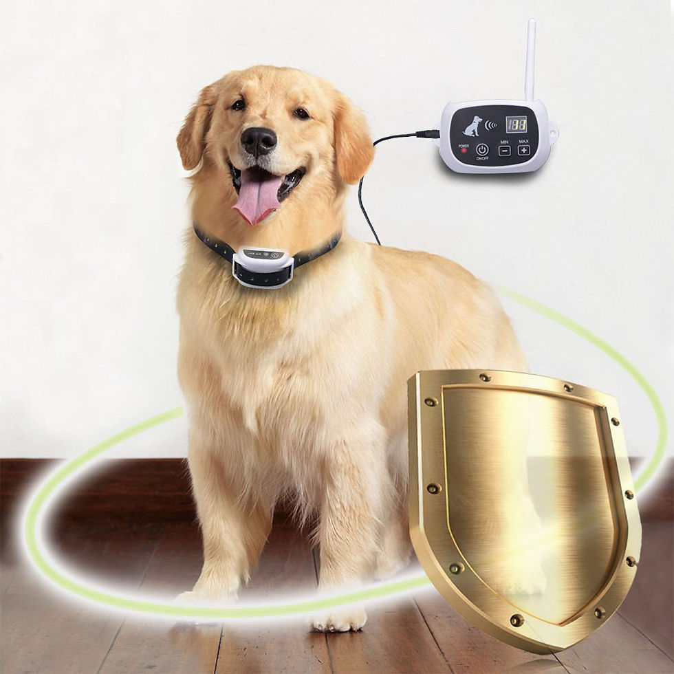 縮圖：Wireless Electric Dog Pet Fence Shock Collar System Waterproof Transmitter 