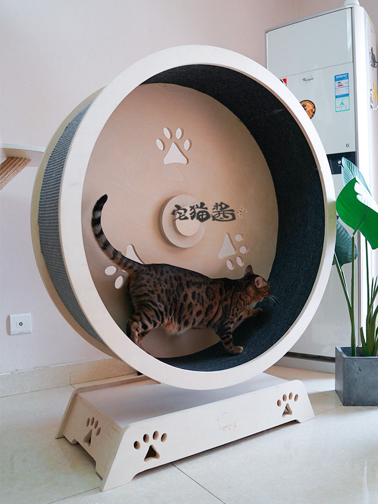 Miniatyrbilde: Treadmill Exercise Wheel for Cats, Cat Tracks, Pet Toys, Gym Training Tunnel