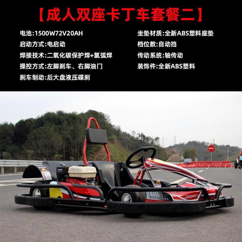 Miniaturbild: Adult single and dual fuel competitive kart racing F1 Formula electric kart