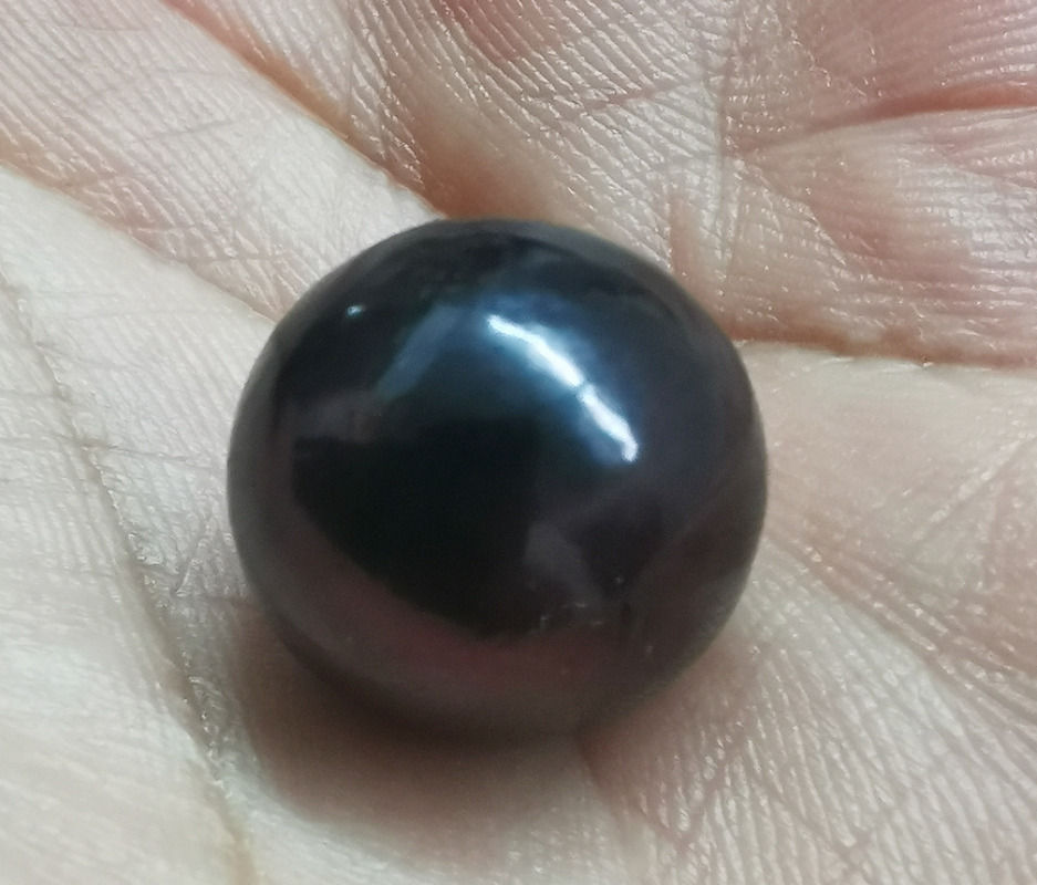 Huge 15-16mm Black Round Loose Pearl Undrilled 