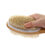 ภาพขนาดย่อ: Shower brush soft hard bristles, double sided long handle, back scrub exfoliator