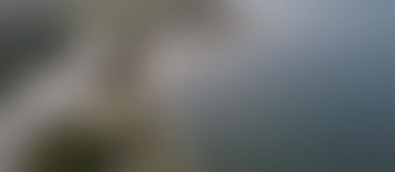 N°1- Pointe-Denis and its surroundings