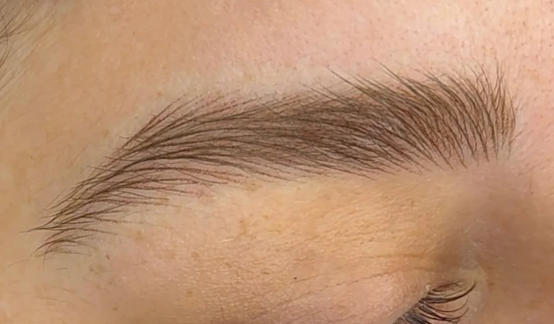 Nano Hairstroke online Schulung