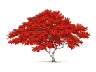 Logo Nature et Jardin