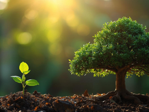 Immature vs mature Marketing Operations: Why most teams misdiagnose the problem