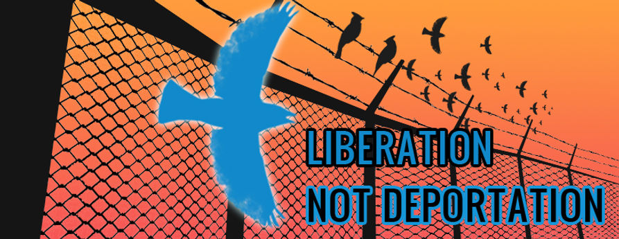 Andrew Lin - Lib not Dep.jpeg