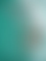 岡山県演奏家協会主催｜第50回 岡山県新人演奏会