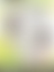 あなたもピアニスト!コンサート用グランドピアノでショパンをひこう!!