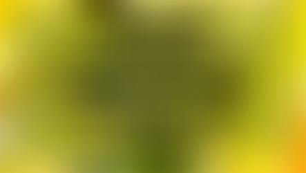 TIPS UNTUK MENDAPATKAN TONA WARNA KULIT YANG SEKATA