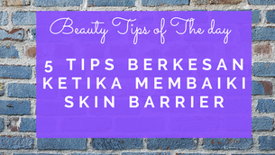 5 TIPS BERKESAN KETIKA MEMBAIKI SKIN BARRIER