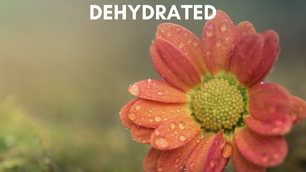 [QUICK INFO] 5 TANDA UTAMA KULIT DEHYDRATED
