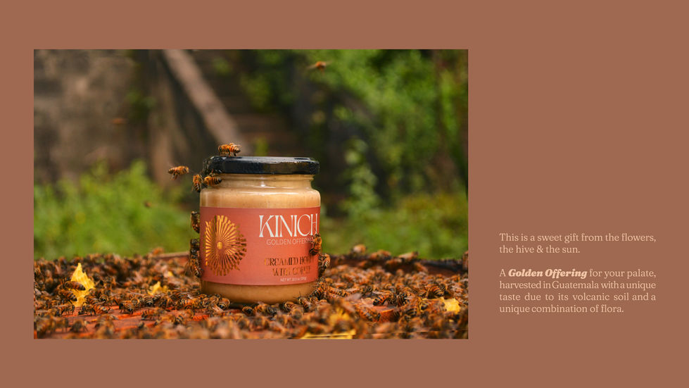 Kinich editorial texto