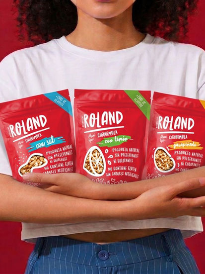 Productos Roland cover