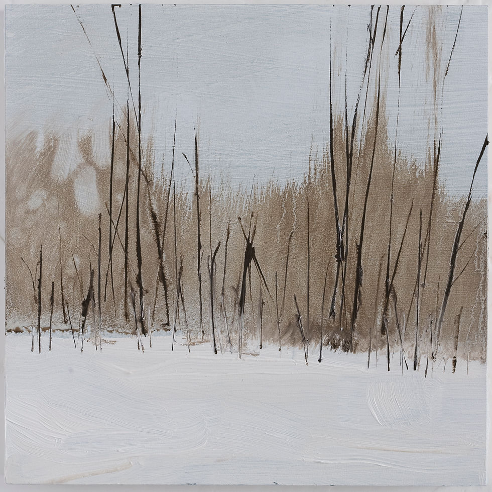 Milanwintertrees