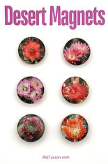 Cactus Flower Button Magnets
