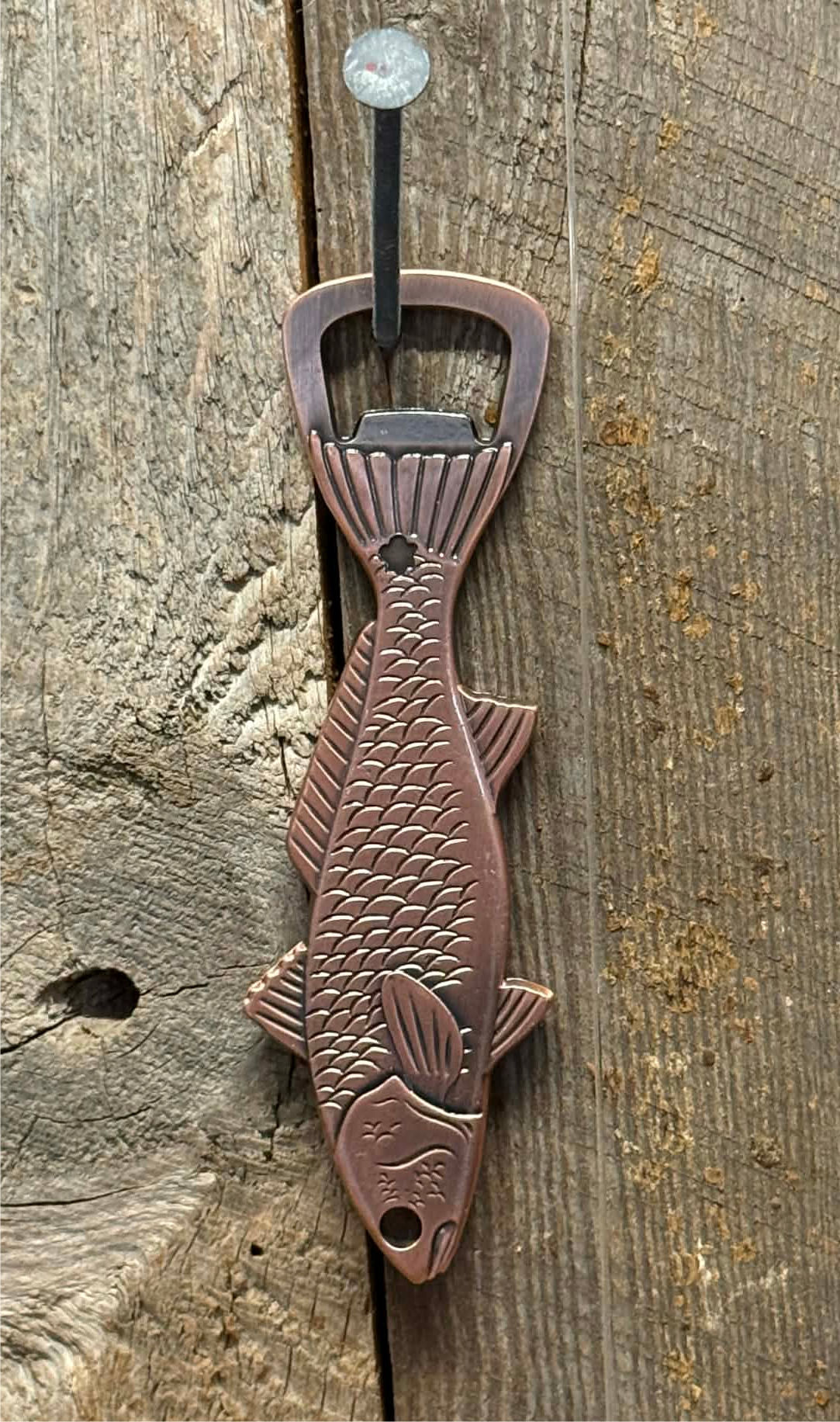 Red Drum Bottle Opener