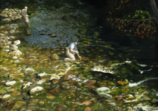 Light and Shadow on the Davidson