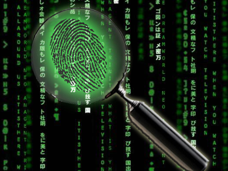 Crimes Digitais