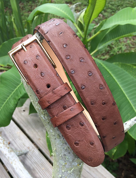 Wehmeiers Kango Brown South African Full Quill Ostrich Skin Leather Exotic Belt made in Louisiana, USA