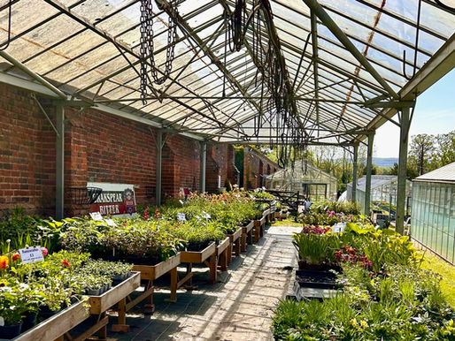 Danesfield Gardens is a hidden gem for all gardeners