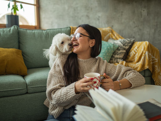 I am getting divorced. What happens to our pets?