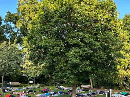 Free Community Yoga Event in Liston Court Gardens 