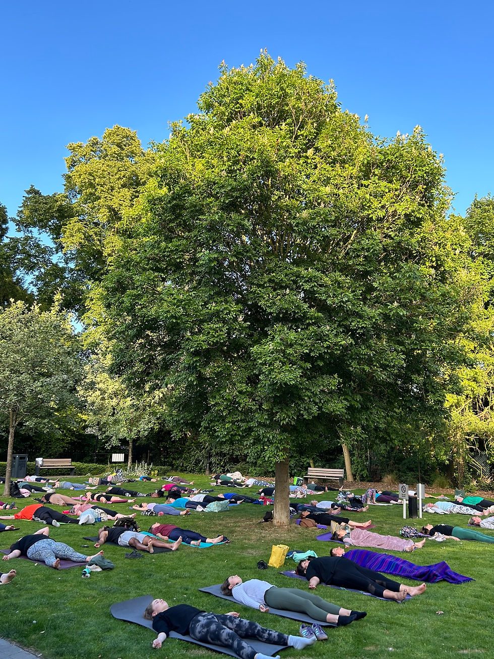 Free Community Yoga Event in Liston Court Gardens 