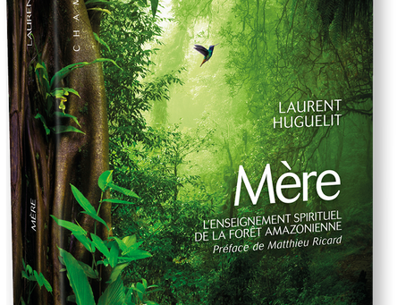Livre: MÈRE de Laurent Huguelit
