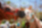 4C729628-F978-41C7-871A-1DA8A86FAF64.jpeg