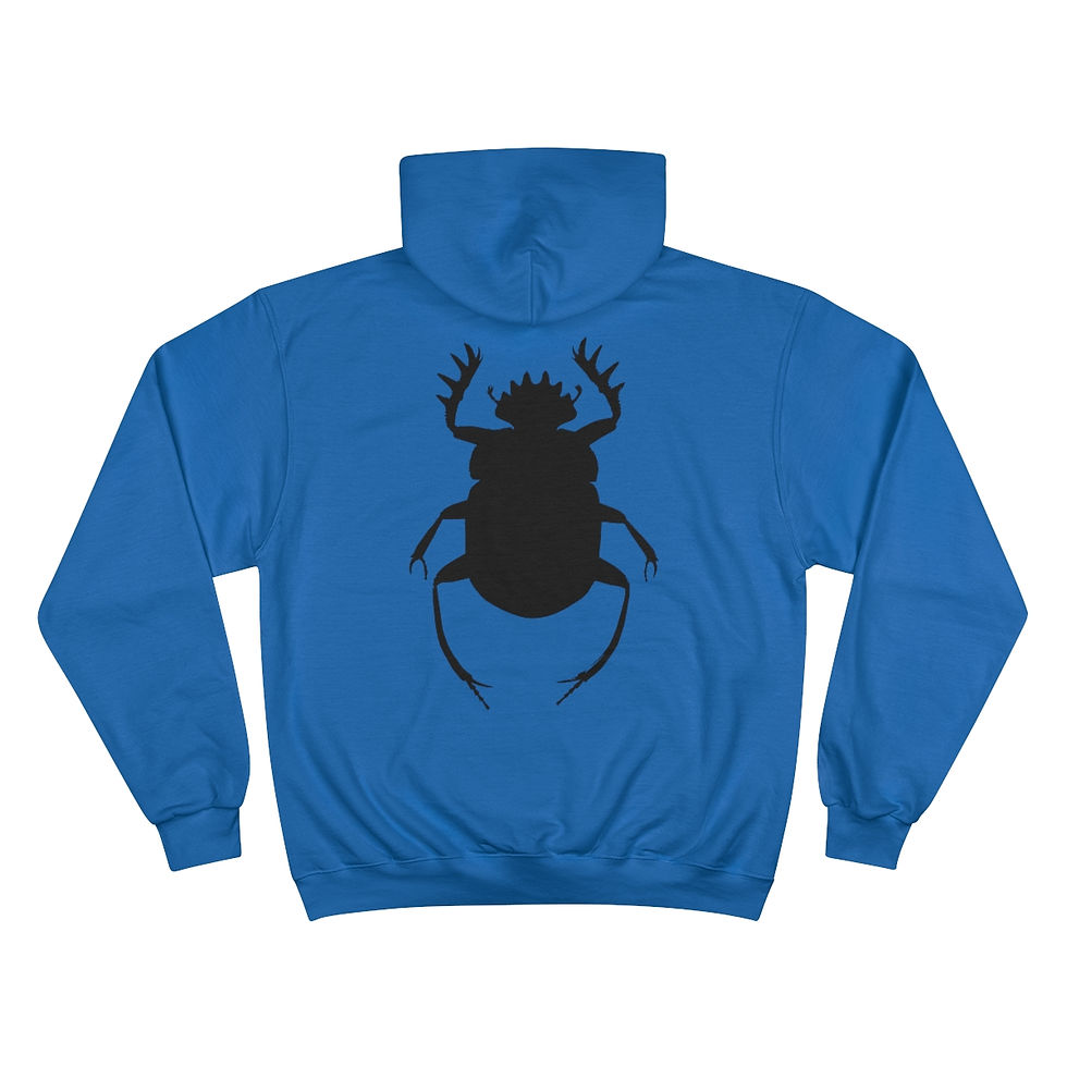 Thumbnail: STT OG #2 Black Beetle
