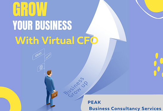 Virtual CFO Services by PEAK bcs. Providing management consulting services