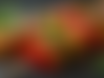 Delicious and Healthy Tempeh Meals for Every Occasion