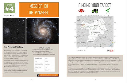 AP Guidebook Examples pages 79kb.jpg