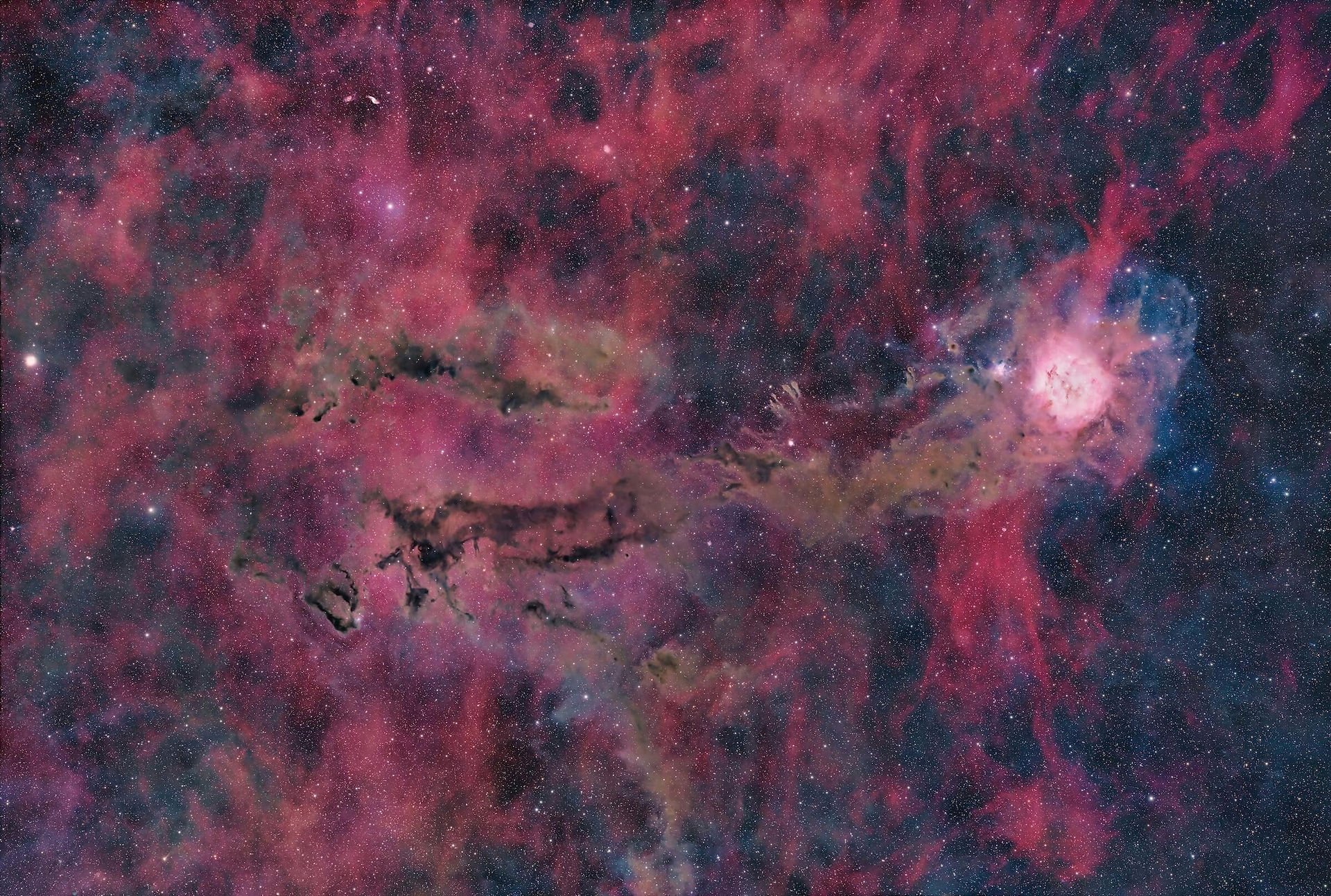 Cocoon Nebula astrophotography from starfront