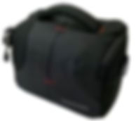 Dwarf 3 carrying bag