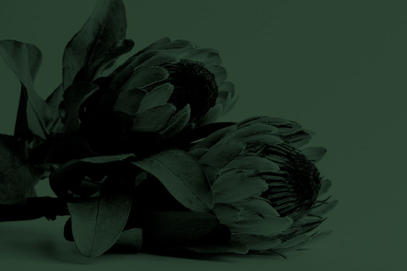 tim-ford-Csb4VMNn6us-unsplash-GREEN.jpg