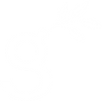 bgreen-24 (1)_edited.png