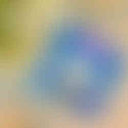 Cute polar bear holiday card eco printed with envelope