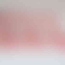 Cute paper robins strung along twine with festive greenery backdrop