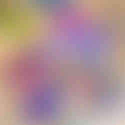 Fun festive gift wrap set perfect for animal lovers