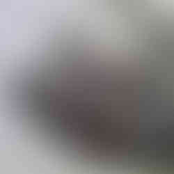 Cute mini pawtrait gift for dog lovers